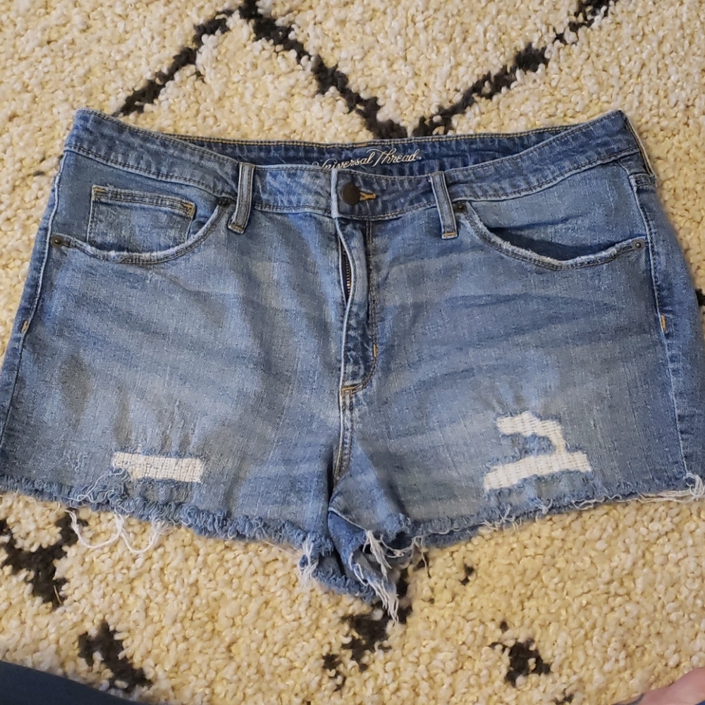 Universal Thread Distressed Shorts